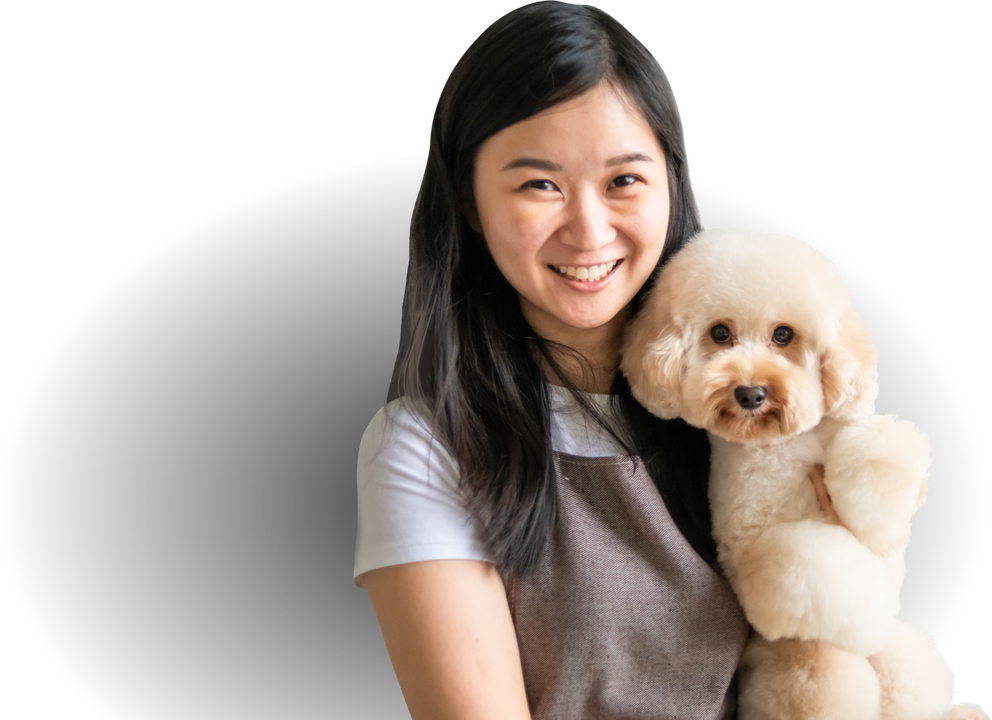 Heiniger Academy Pet Grooming Courses & RPL (Home)